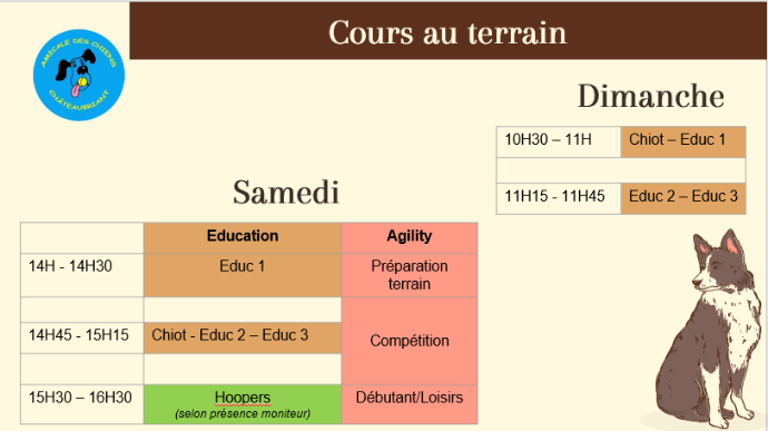 Cours au terrain